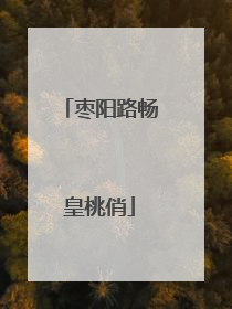 枣阳路畅皇桃俏
