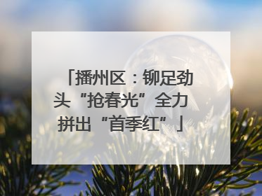 播州区：铆足劲头“抢春光”全力拼出“首季红”
