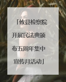 攸县检察院开展民法典颁布五周年集中宣传月活动