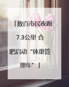 数百市民夜跑7.3公里 合肥启动“体重管理年”