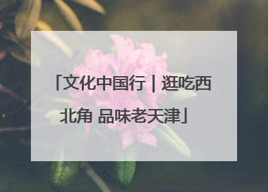 文化中国行｜逛吃西北角 品味老天津