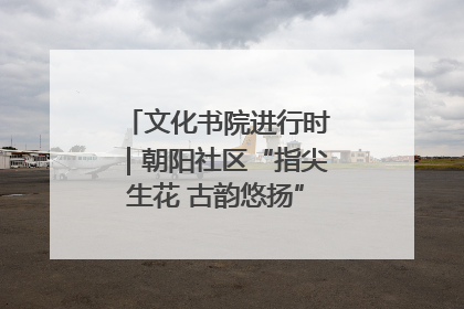 文化书院进行时｜朝阳社区“指尖生花 古韵悠扬”公益课堂开课了