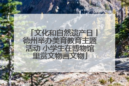 文化和自然遗产日丨德州举办美育教育主题活动 小学生在博物馆里赏文物画文物