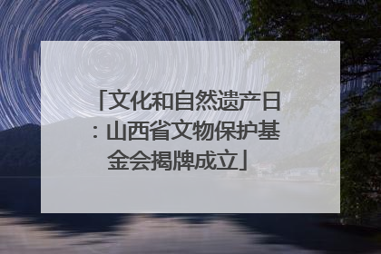 文化和自然遗产日：山西省文物保护基金会揭牌成立