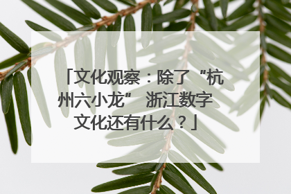 文化观察：除了“杭州六小龙” 浙江数字文化还有什么？