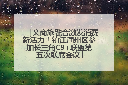 文商旅融合激发消费新活力！镇江润州区参加长三角C9+联盟第五次联席会议
