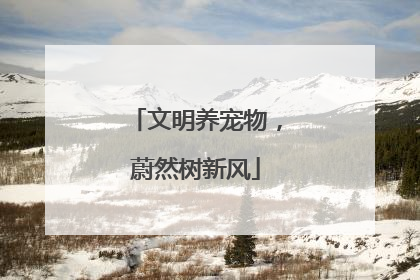 文明养宠物，蔚然树新风