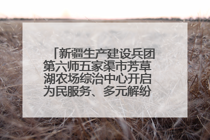 新疆生产建设兵团第六师五家渠市芳草湖农场综治中心开启为民服务、多元解纷“超市”新体验