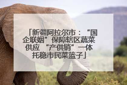 新疆阿拉尔市：“国企联姻”保障辖区蔬菜供应 “产供销”一体托稳市民菜篮子