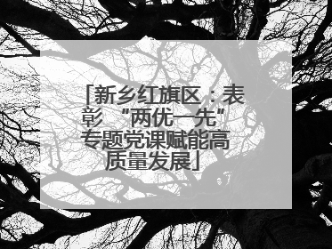 新乡红旗区：表彰 “两优一先” 专题党课赋能高质量发展