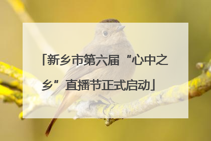 新乡市第六届“心中之乡”直播节正式启动