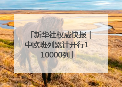 新华社权威快报｜中欧班列累计开行110000列