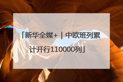 新华全媒+｜中欧班列累计开行110000列