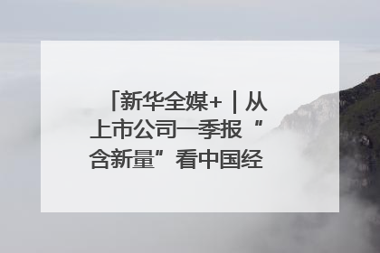 新华全媒+｜从上市公司一季报“含新量”看中国经济发展向“新”