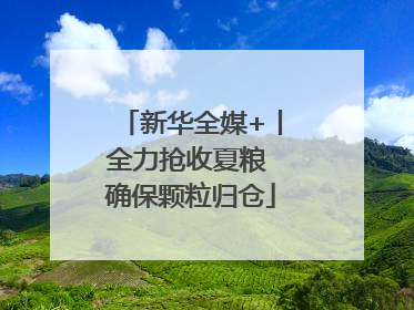 新华全媒+丨全力抢收夏粮 确保颗粒归仓