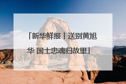 新华鲜报丨送别黄旭华 国士忠魂归故里