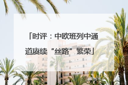 时评：中欧班列中通道赓续“丝路”繁荣