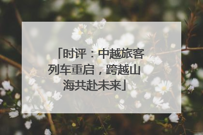 时评：中越旅客列车重启，跨越山海共赴未来