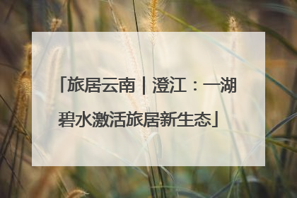 旅居云南｜澄江：一湖碧水激活旅居新生态