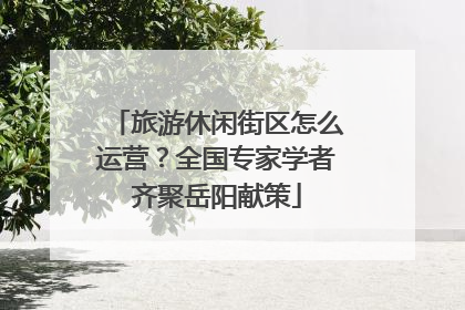 旅游休闲街区怎么运营？全国专家学者齐聚岳阳献策