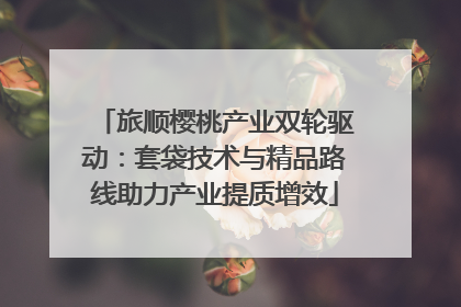 旅顺樱桃产业双轮驱动：套袋技术与精品路线助力产业提质增效