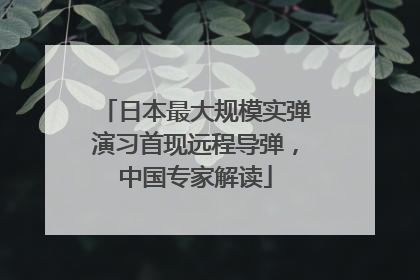 日本最大规模实弹演习首现远程导弹，中国专家解读