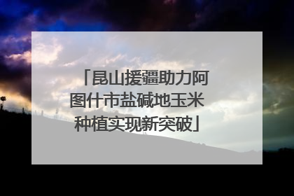 昆山援疆助力阿图什市盐碱地玉米种植实现新突破