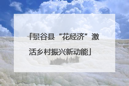 景谷县“花经济”激活乡村振兴新动能