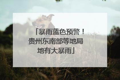 暴雨蓝色预警！贵州东南部等地局地有大暴雨
