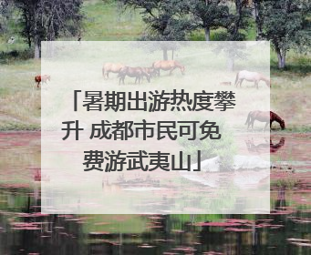暑期出游热度攀升 成都市民可免费游武夷山