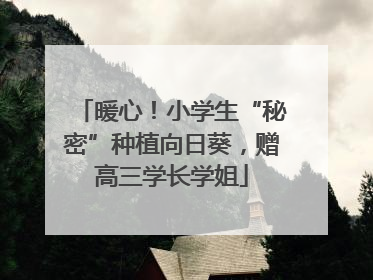 暖心！小学生“秘密”种植向日葵，赠高三学长学姐