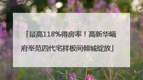最高118%得房率！高新华曦府峯范四代宅样板间倾城绽放