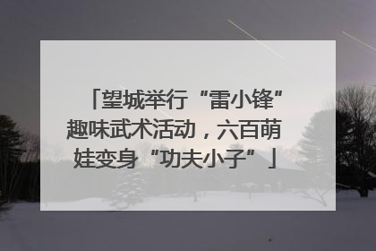 望城举行“雷小锋”趣味武术活动，六百萌娃变身“功夫小子”