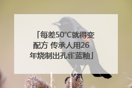 每差50℃就得变配方 传承人用26年烧制出孔雀蓝釉