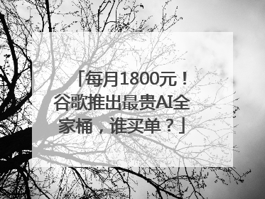 每月1800元！谷歌推出最贵AI全家桶，谁买单？