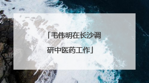 毛伟明在长沙调研中医药工作