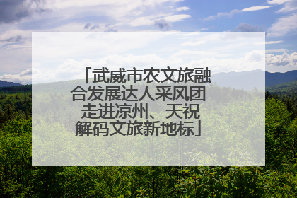 武威市农文旅融合发展达人采风团 走进凉州、天祝解码文旅新地标