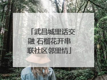 武昌城里话交融 石榴花开串联社区邻里情