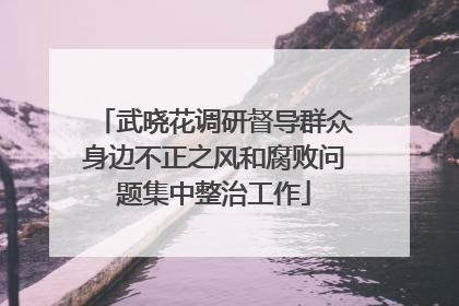 武晓花调研督导群众身边不正之风和腐败问题集中整治工作