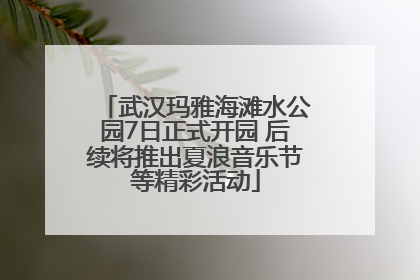 武汉玛雅海滩水公园7日正式开园 后续将推出夏浪音乐节等精彩活动