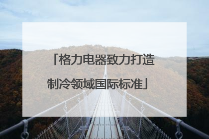 格力电器致力打造制冷领域国际标准