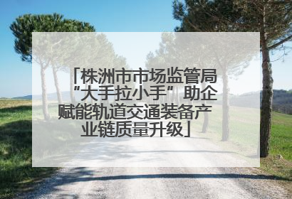 株洲市市场监管局“大手拉小手”助企赋能轨道交通装备产业链质量升级