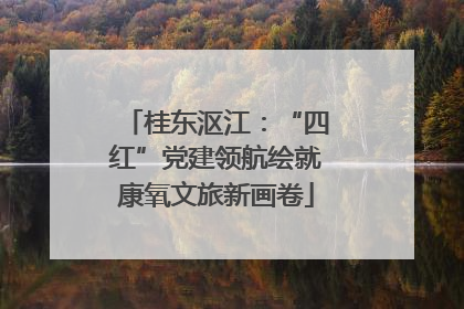 桂东沤江：“四红”党建领航绘就康氧文旅新画卷