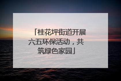 桂花坪街道开展六五环保活动，共筑绿色家园