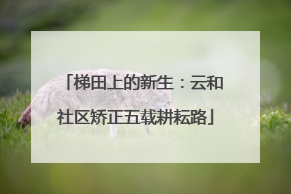 梯田上的新生：云和社区矫正五载耕耘路