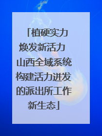 植硬实力 焕发新活力 山西全域系统构建活力迸发的派出所工作新生态