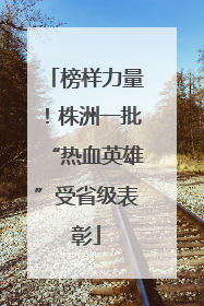 榜样力量！株洲一批“热血英雄”受省级表彰