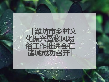 潍坊市乡村文化振兴暨移风易俗工作推进会在诸城成功召开