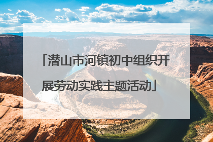 潜山市河镇初中组织开展劳动实践主题活动