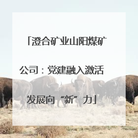 澄合矿业山阳煤矿公司：党建融入激活发展向“新”力